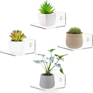6164PmOBepL._AC_SL1500.jpg Acrylic Small Adhesive Wall Shelves,Mini Floating Shelves,Acrylic Display Shelves,Ledges for Pop Figures,Plant,Picture Photo Modern Wall for Bedroom Decor Living Room