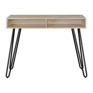 Hairpin Writing Desk Furniture Multiple Finishes Table Computer Desks Room Desk to Study Pliante Reading Gaming Laptop Office